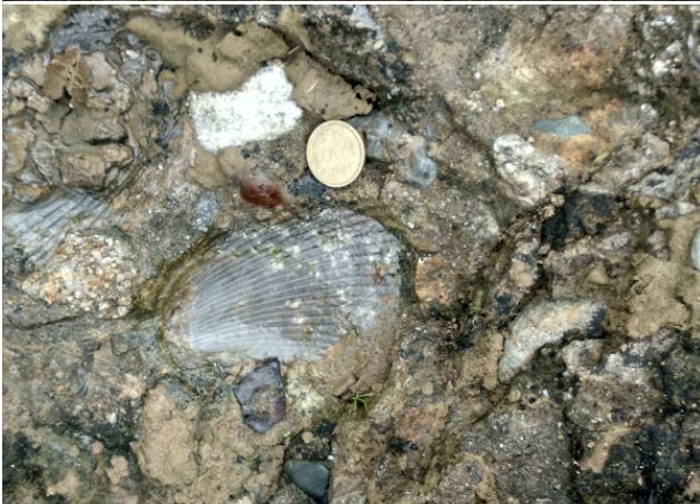 1739633479_0b700675ecf22206cfd4