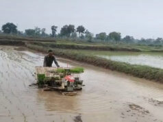 किसान अब उन्नत तकनीक की ओर अग्रसर, पैडी ट्रांसप्लांटर विधि से धान रोपाई