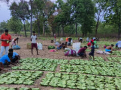 बीजापुर ने रचा इतिहास, तेंदूपत्ता नीलामी में मिला वर्षों का सर्वाधिक मूल्य