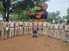 कोरबा वन मंडल की बड़ी कार्रवाई: 20 घनमीटर अवैध साल लकड़ी बरामद, मुख्य आरोपी गिरफ्तार