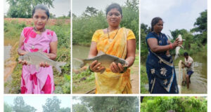 जहां कभी बह जाता था बारिश का पानी, अब वहीं लिखी जा रही समृद्धि की कहानी”