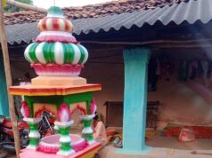 देवगढ़ की रुकमणी ने हुनर को बनाया रोजगार