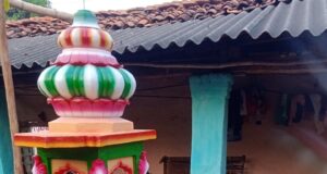 देवगढ़ की रुकमणी ने हुनर को बनाया रोजगार