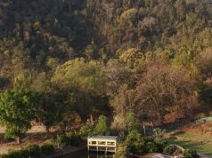 खेत बना आय का केंद्र, नवाचार ने बदली खेती की तस्वीर