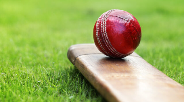 cricket-1-640x356